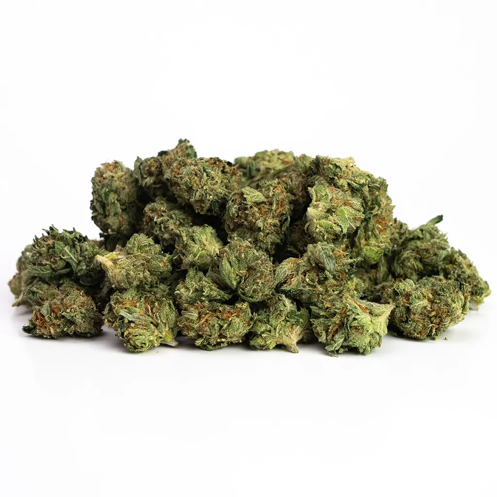 Jack Herer — Sativa: An In-Depth Look at a Legendary Strain